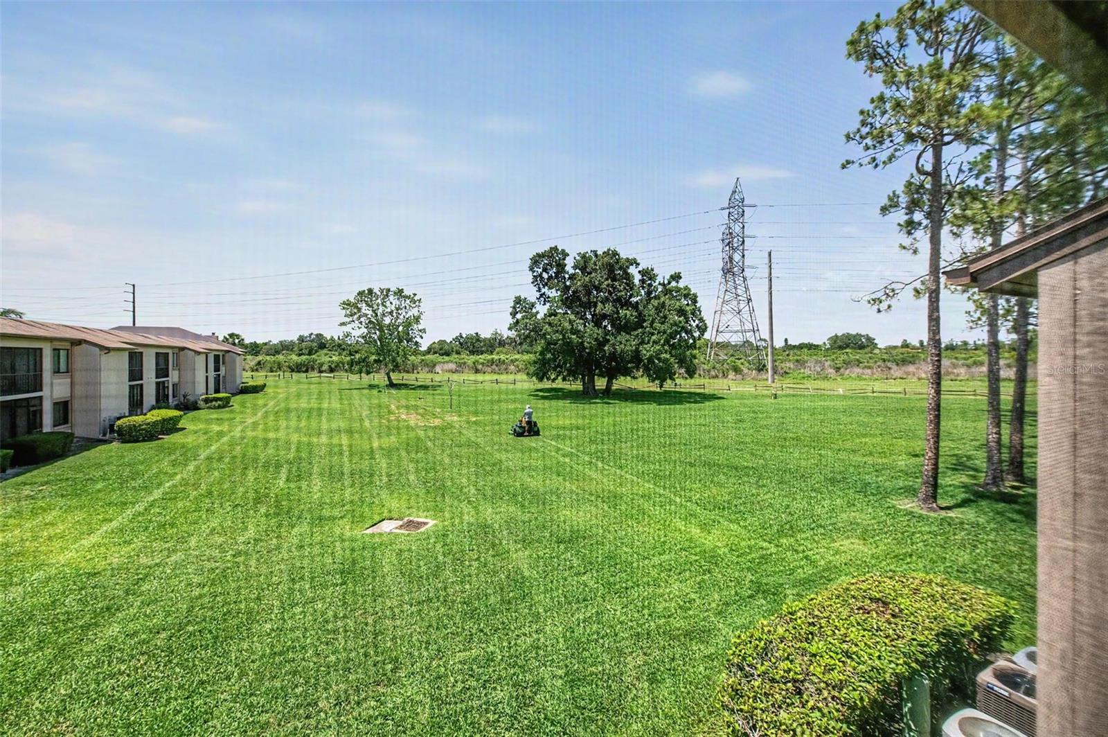 202 MARY DR #202, OLDSMAR, FL, 34677