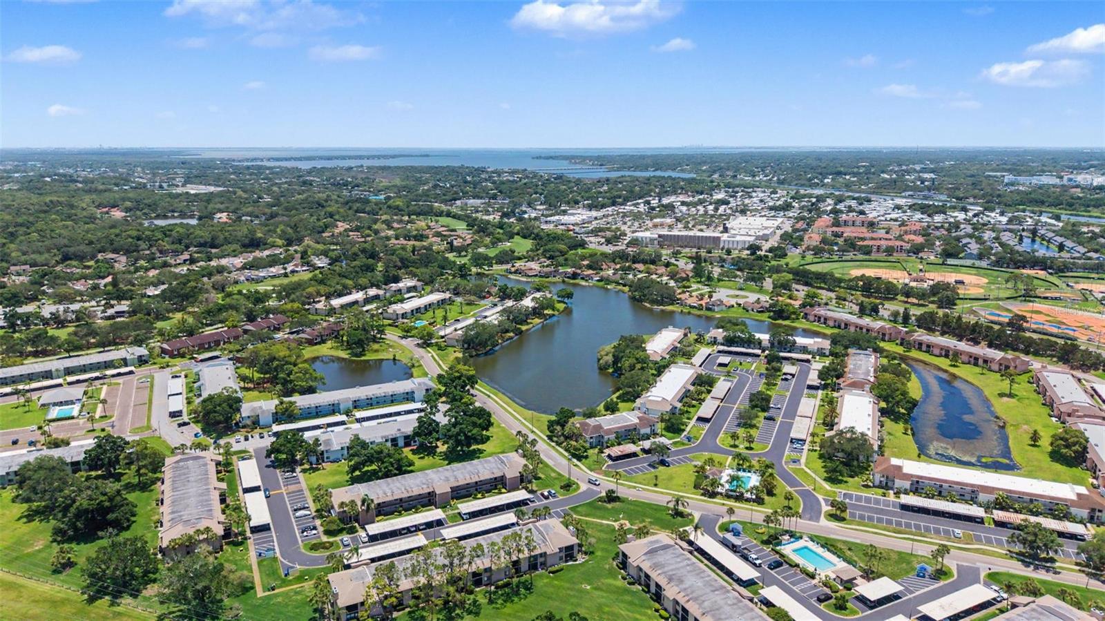 202 MARY DR #202, OLDSMAR, FL, 34677