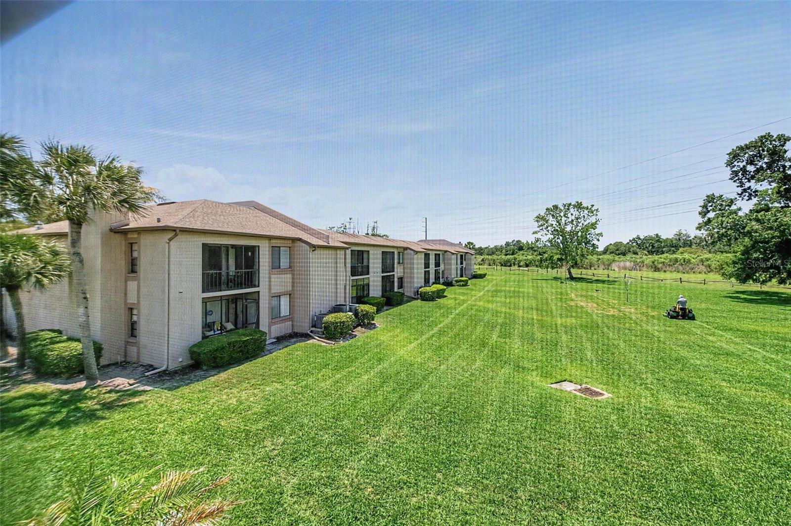 202 MARY DR #202, OLDSMAR, FL, 34677