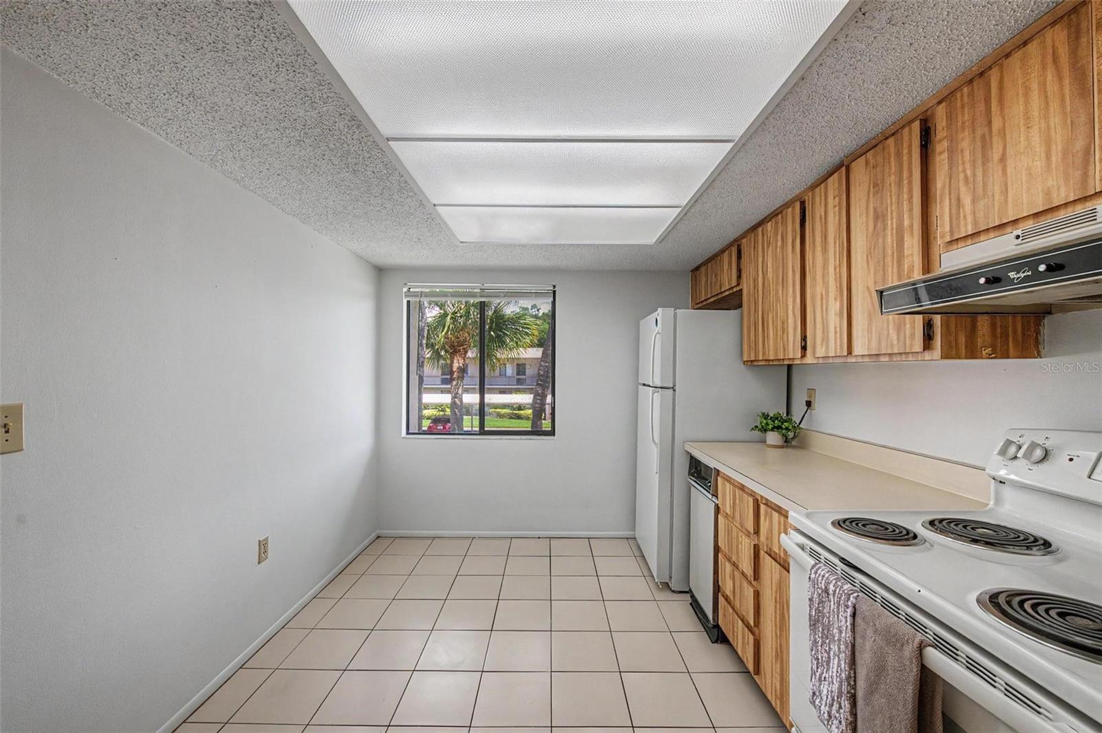 202 MARY DR #202, OLDSMAR, FL, 34677