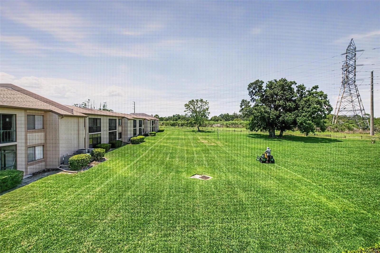 202 MARY DR #202, OLDSMAR, FL, 34677