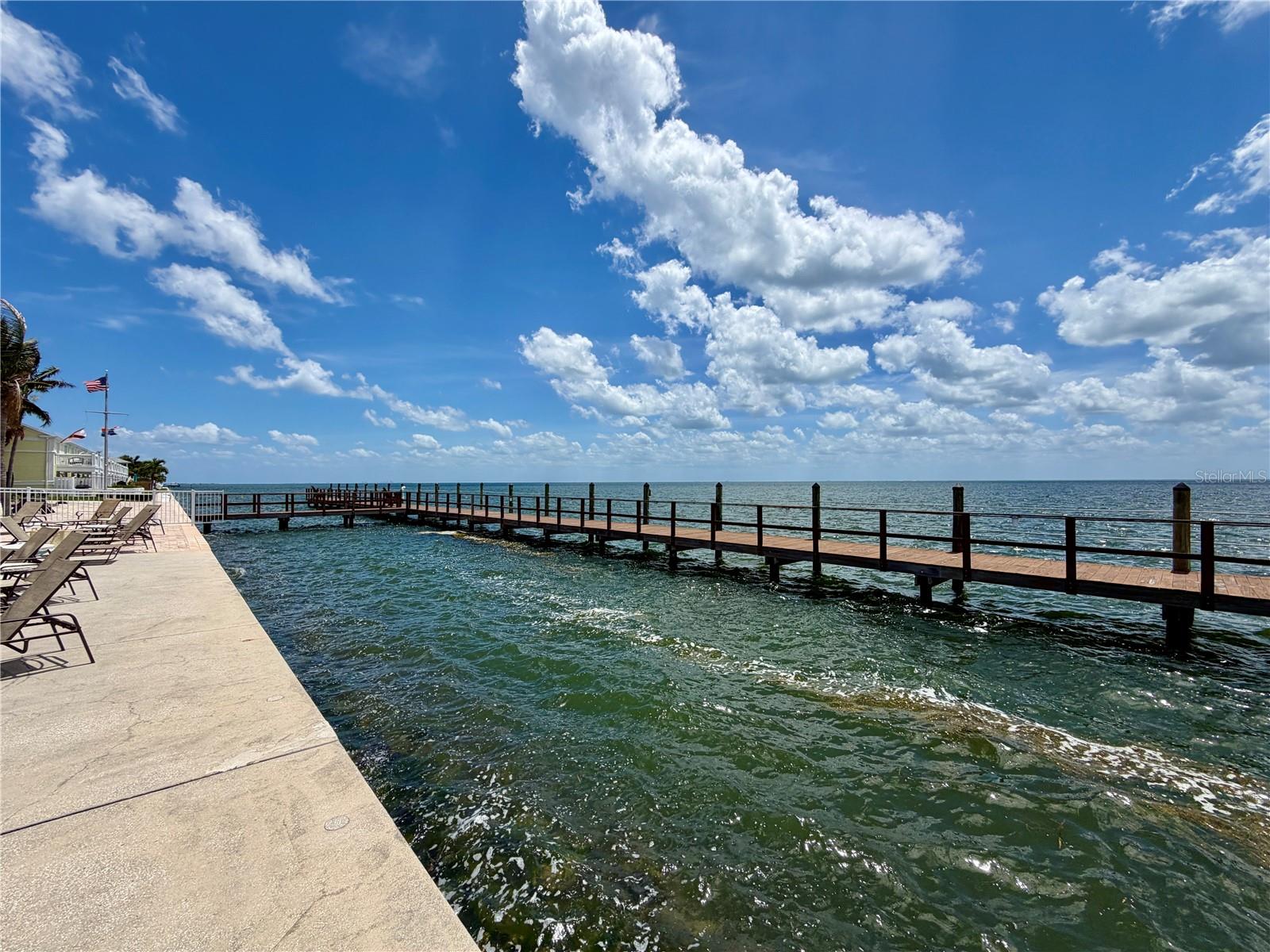 5117 SALMON DR SE #D, ST PETERSBURG, FL, 33705