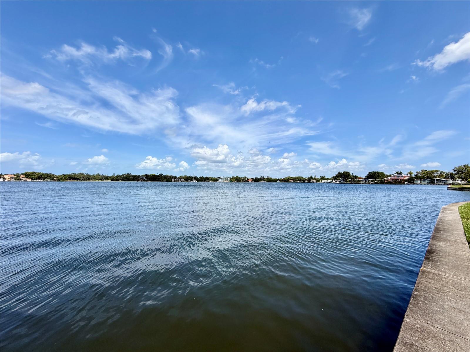 5117 SALMON DR SE #D, ST PETERSBURG, FL, 33705