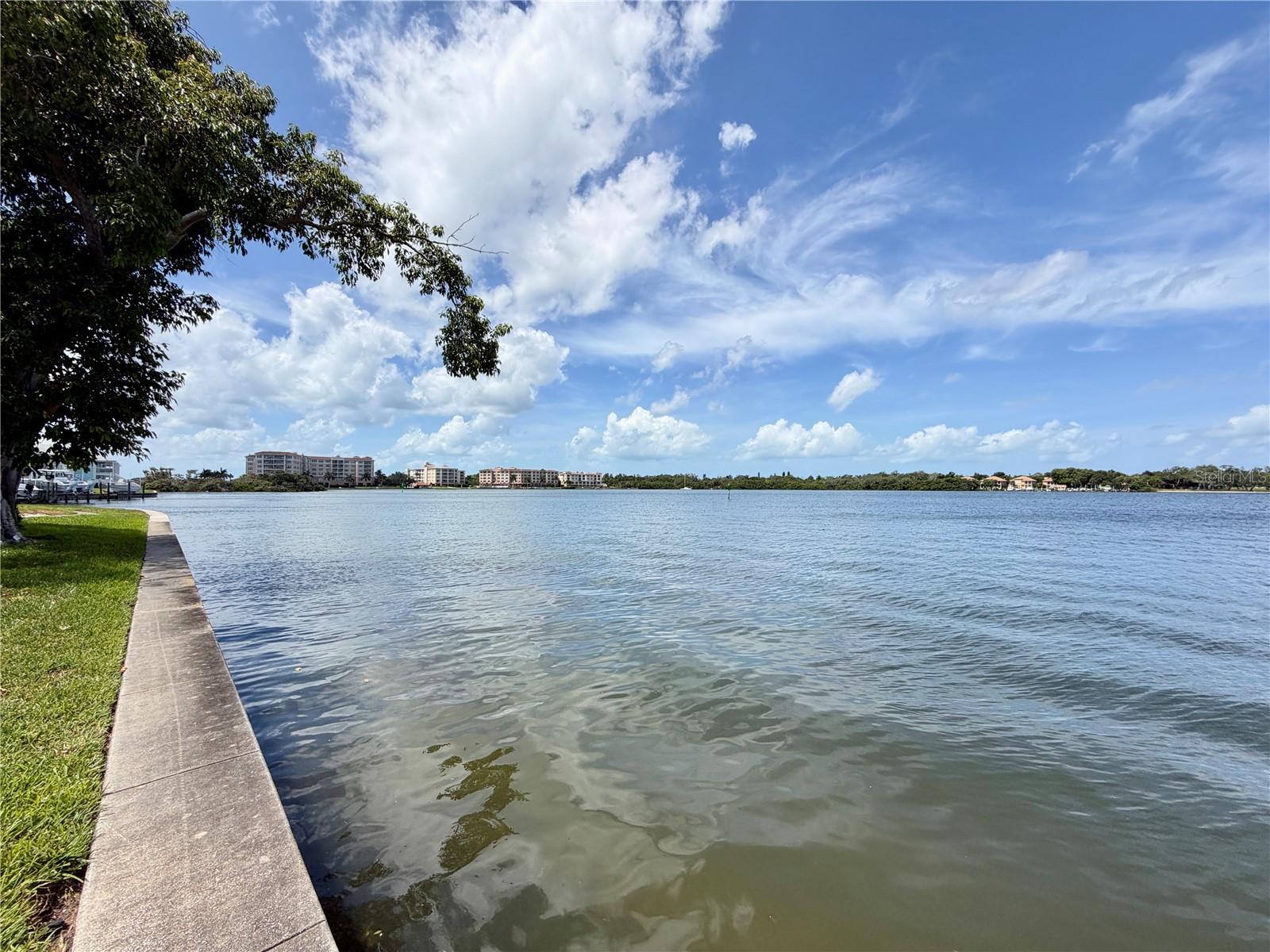 5117 SALMON DR SE #D, ST PETERSBURG, FL, 33705