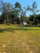12070 NE 63RD PL, WILLISTON, FL, 32696