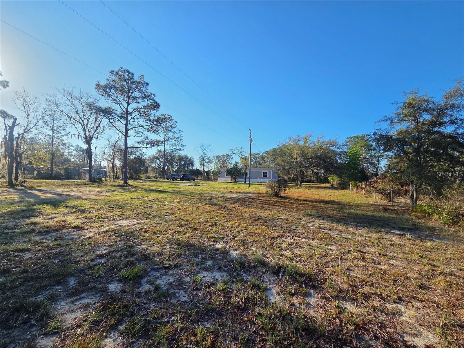 12070 NE 63RD PL, WILLISTON, FL, 32696