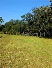 12070 NE 63RD PL, WILLISTON, FL, 32696