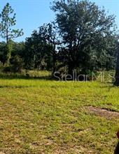 12070 NE 63RD PL, WILLISTON, FL, 32696