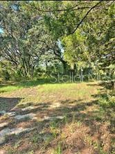 12070 NE 63RD PL, WILLISTON, FL, 32696