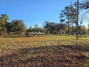 12070 NE 63RD PL, WILLISTON, FL, 32696
