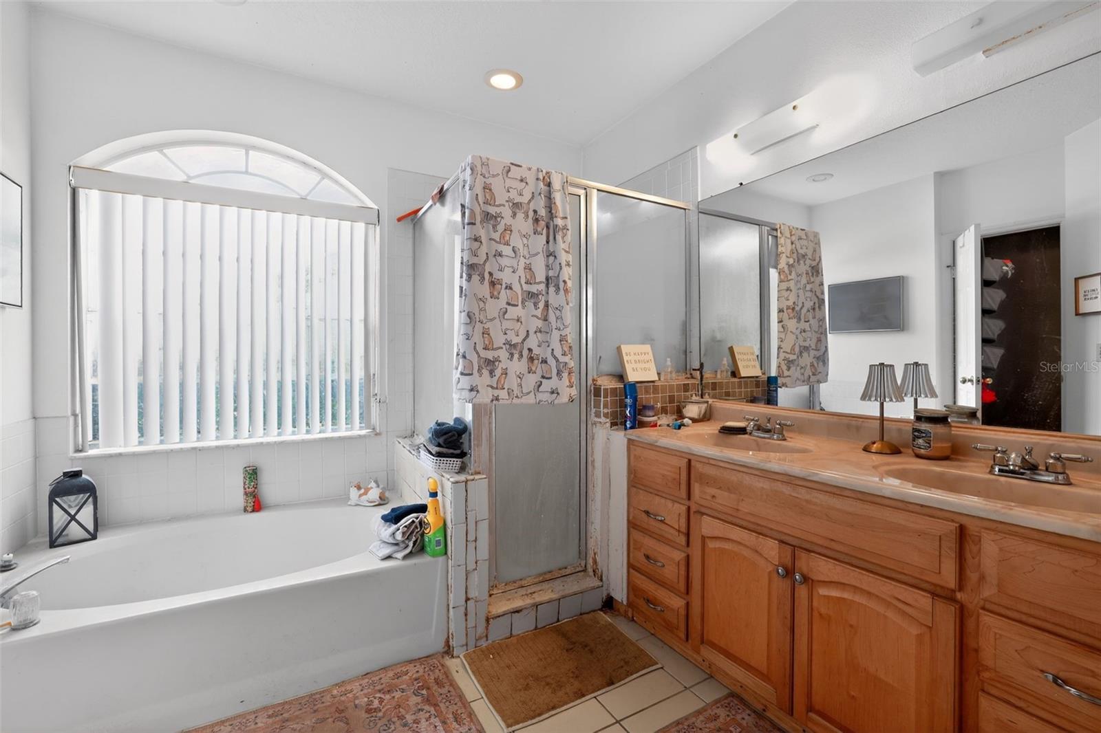 846 GREENBELT CIR, BRANDON, FL, 33510