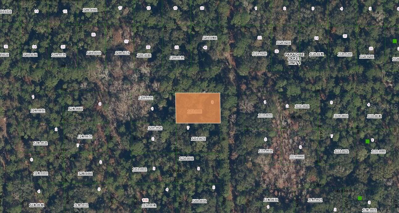 SPRUCE DR, GEORGETOWN, FL, 32139