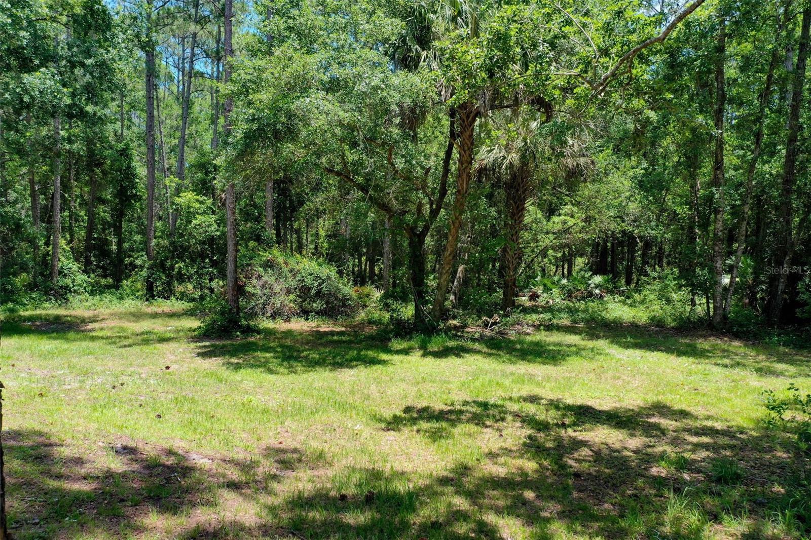 3296 N OLD DIXIE HWY, BUNNELL, FL, 32110