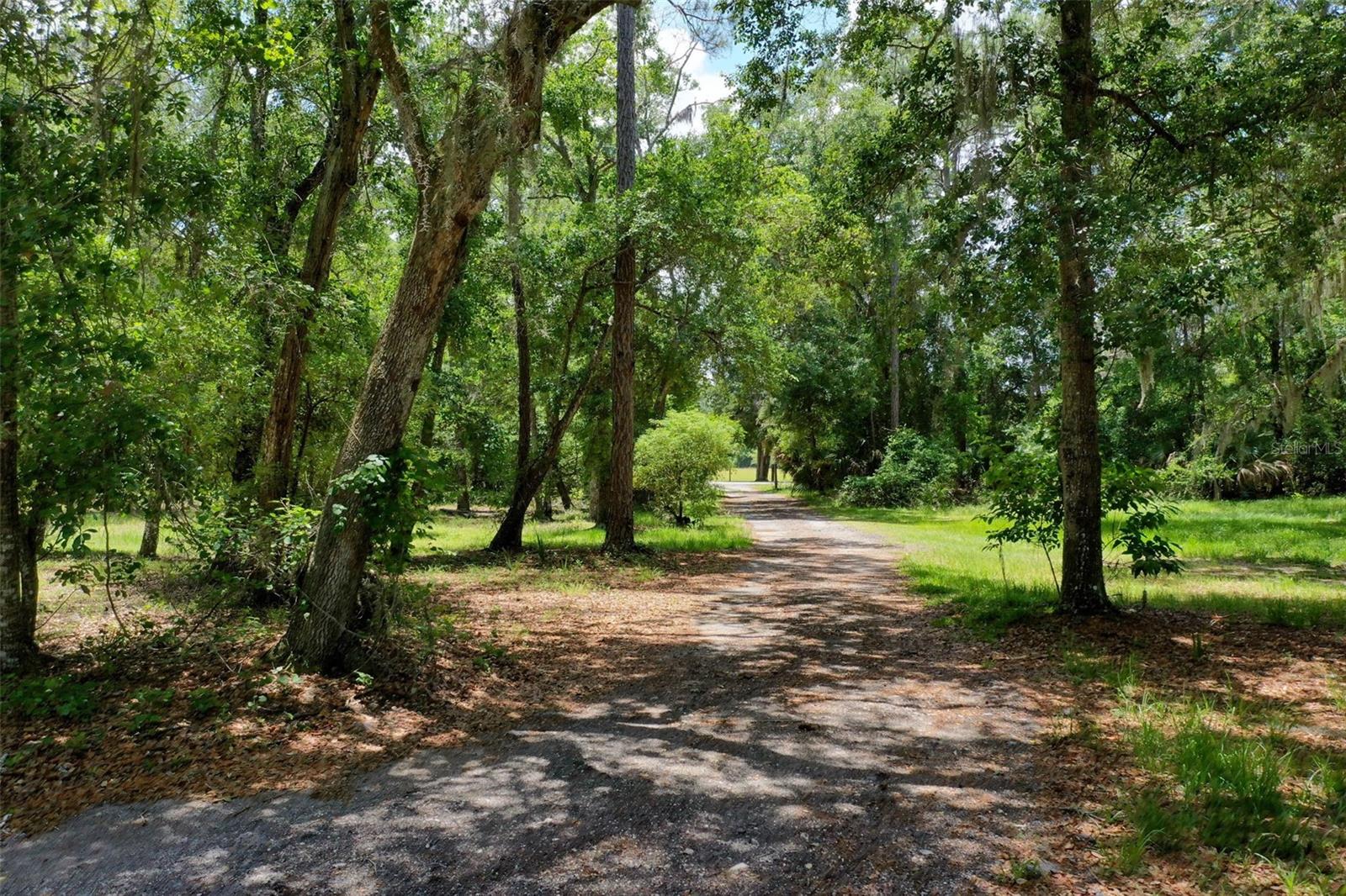 3296 N OLD DIXIE HWY, BUNNELL, FL, 32110