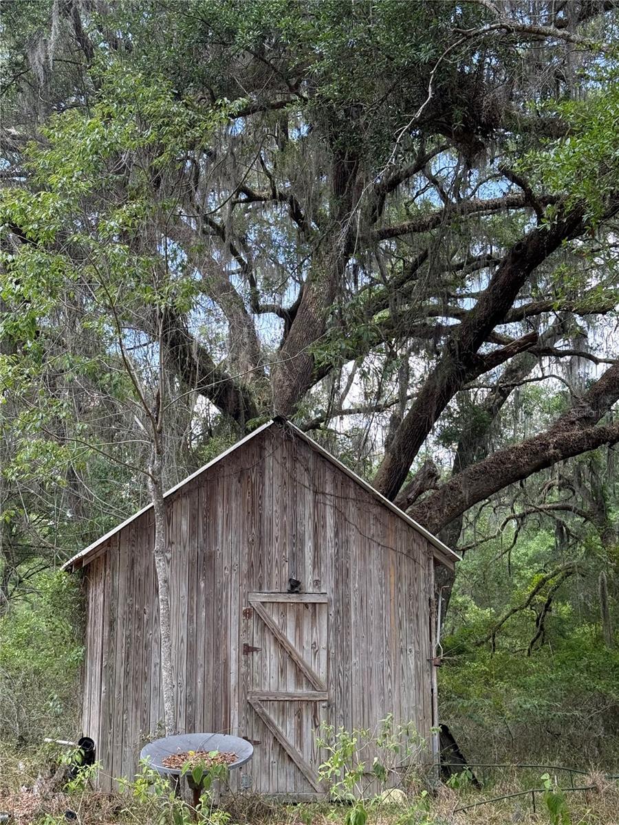 2304 NW 177TH AVE, GAINESVILLE, FL, 32609