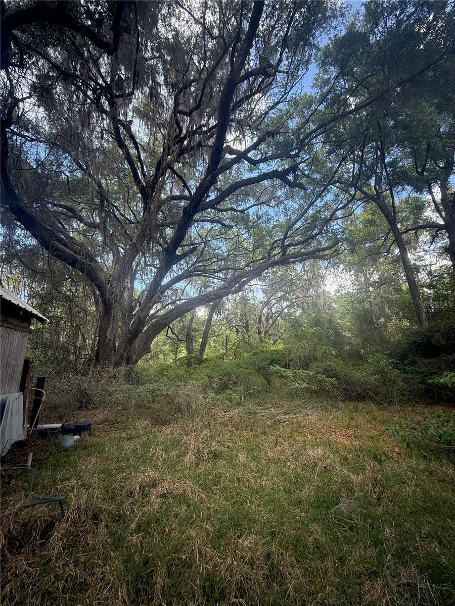2304 NW 177TH AVE, GAINESVILLE, FL, 32609