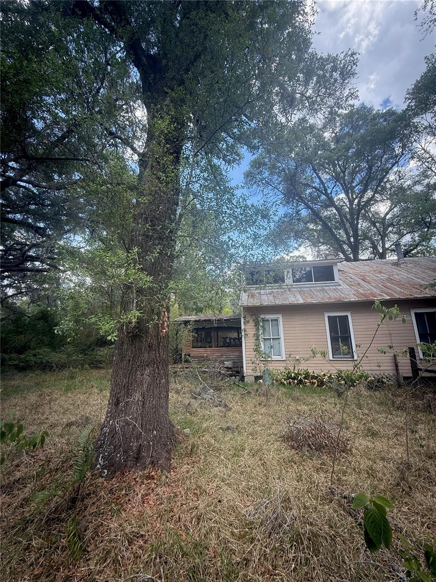 2304 NW 177TH AVE, GAINESVILLE, FL, 32609