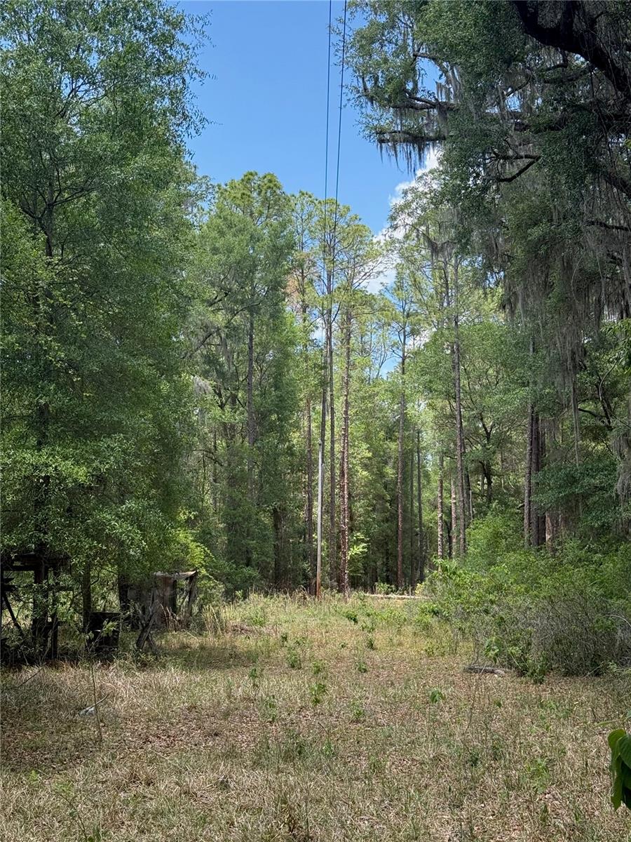2304 NW 177TH AVE, GAINESVILLE, FL, 32609