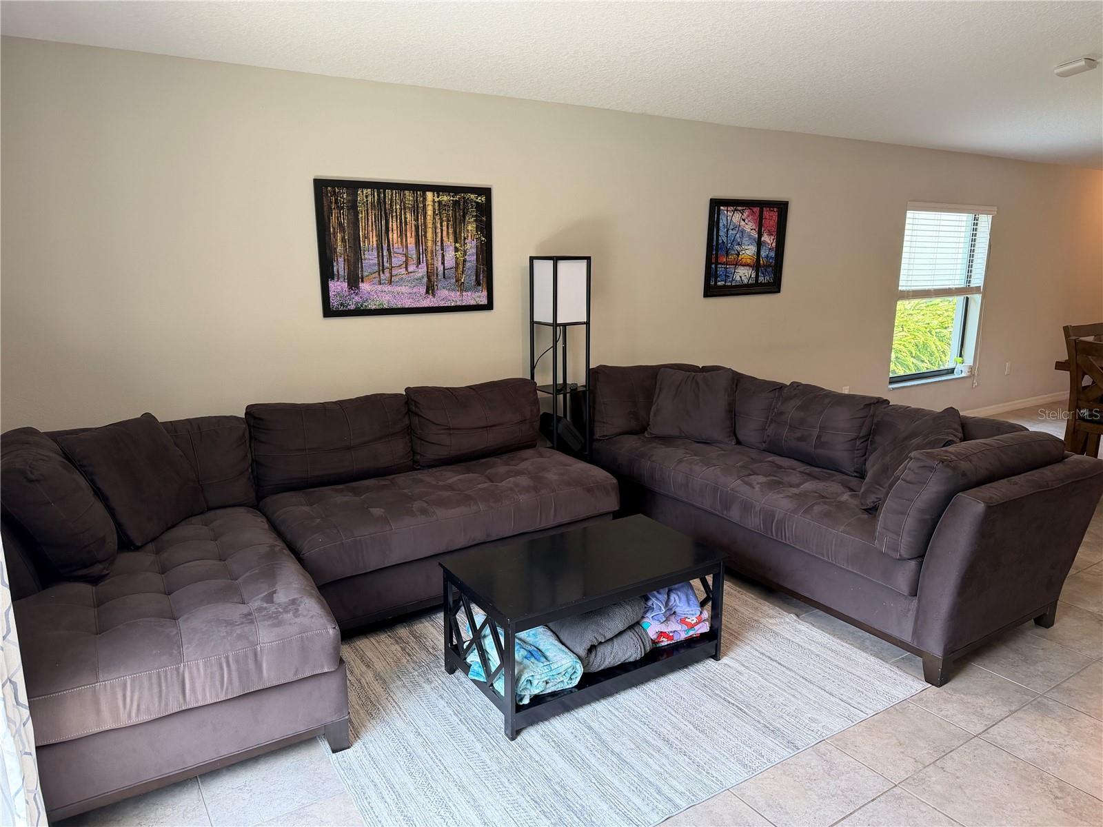 10130 ROSE PETAL PL, RIVERVIEW, FL, 33578