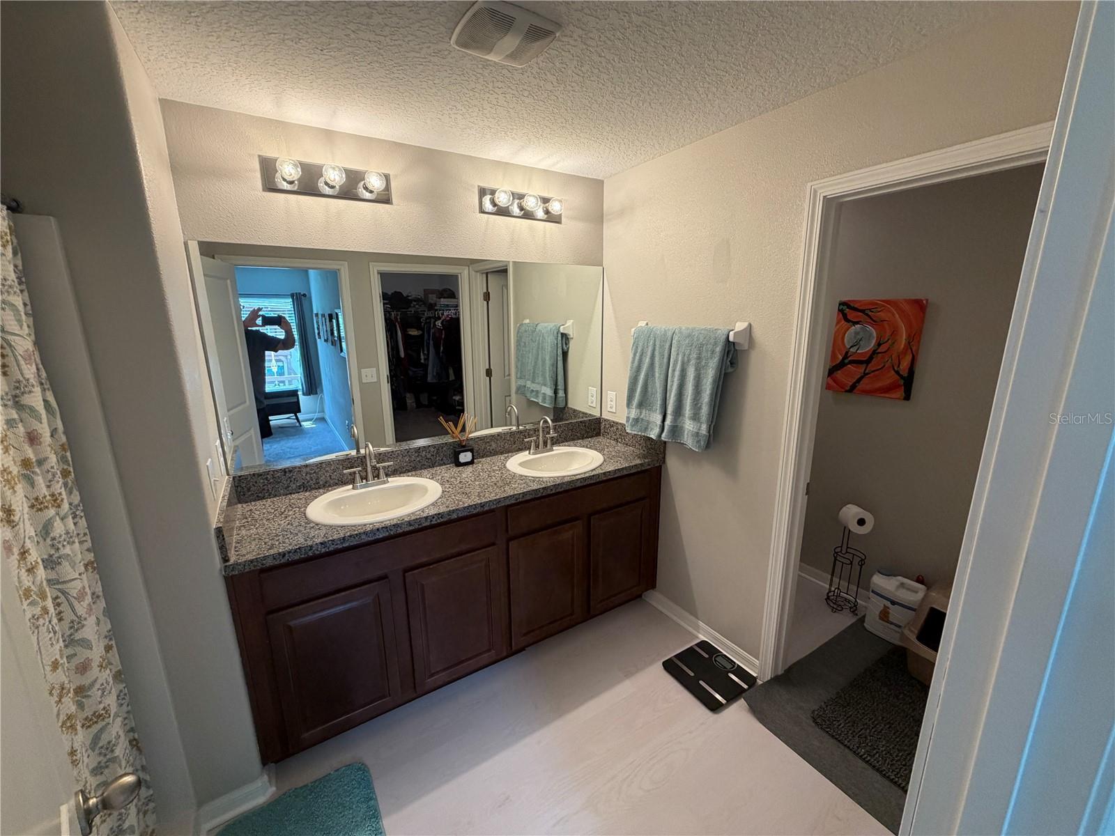 10130 ROSE PETAL PL, RIVERVIEW, FL, 33578