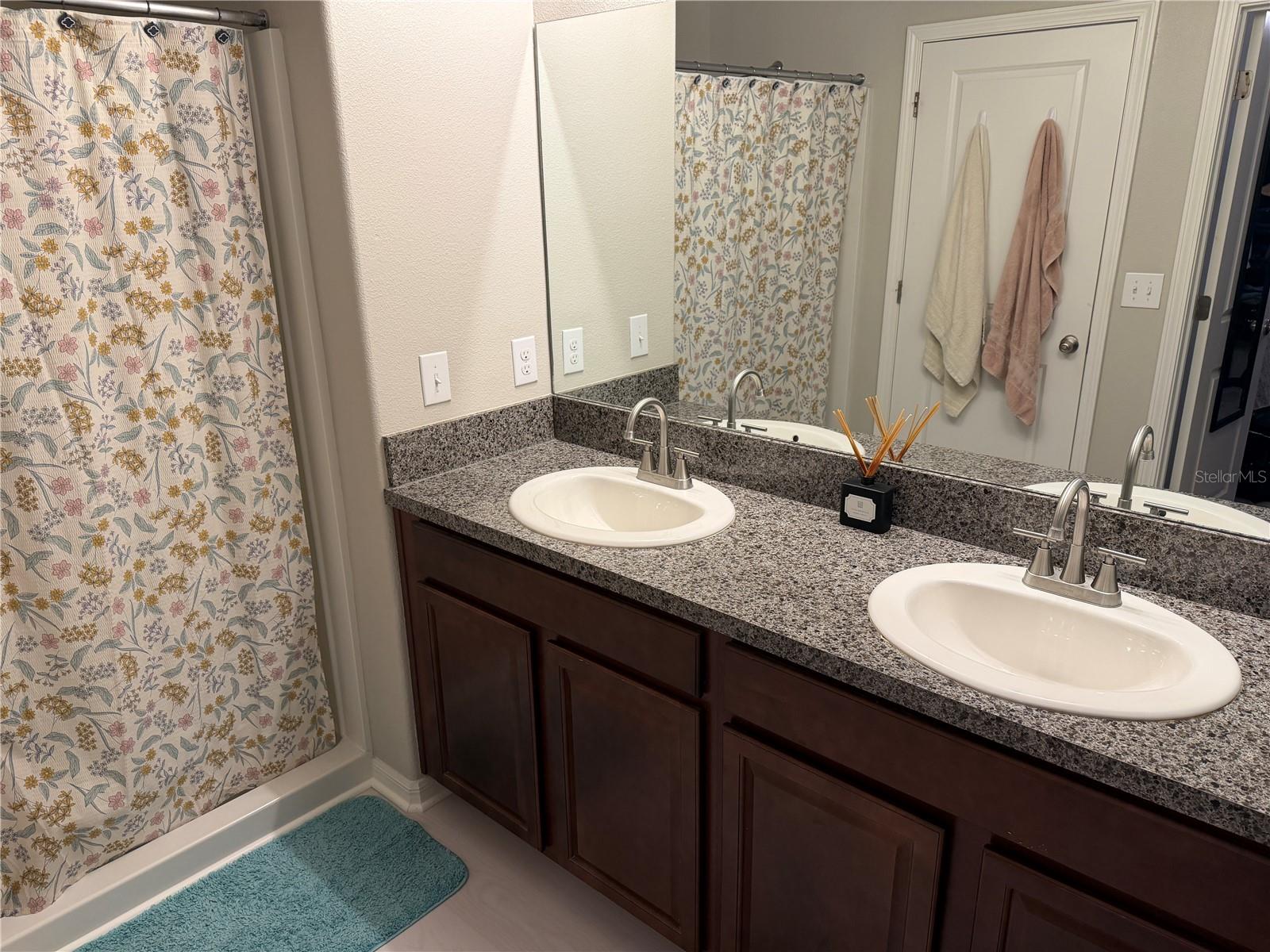 10130 ROSE PETAL PL, RIVERVIEW, FL, 33578