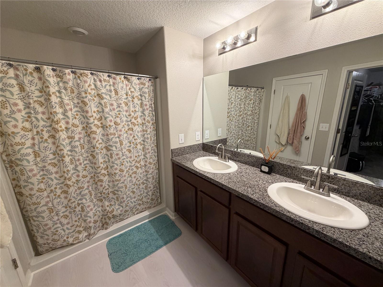 10130 ROSE PETAL PL, RIVERVIEW, FL, 33578