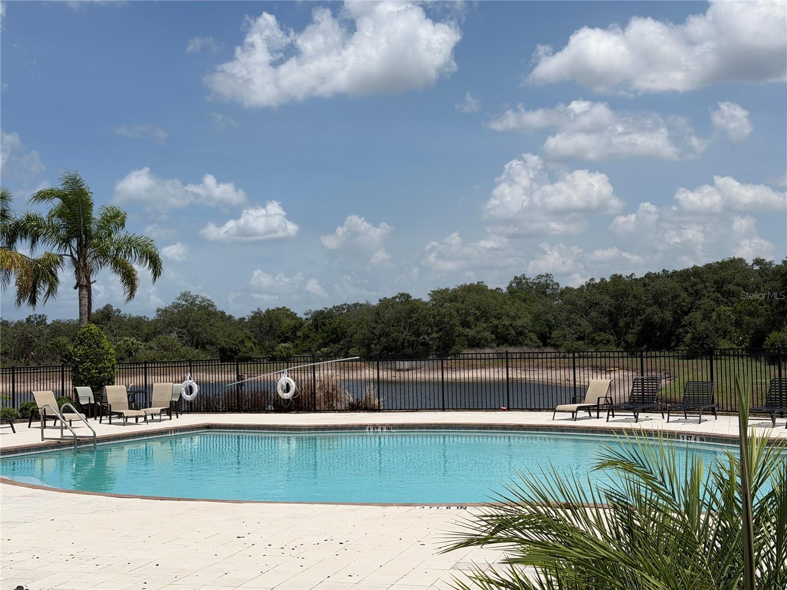 10130 ROSE PETAL PL, RIVERVIEW, FL, 33578