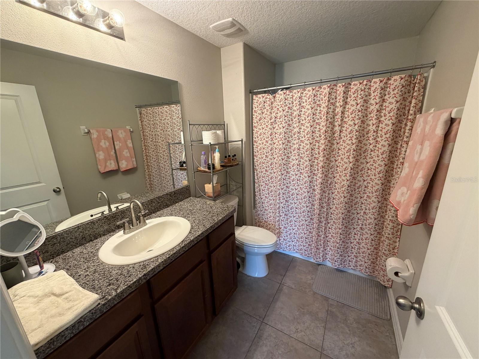 10130 ROSE PETAL PL, RIVERVIEW, FL, 33578