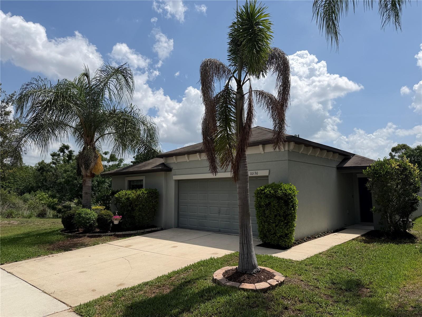 10130 ROSE PETAL PL, RIVERVIEW, FL, 33578