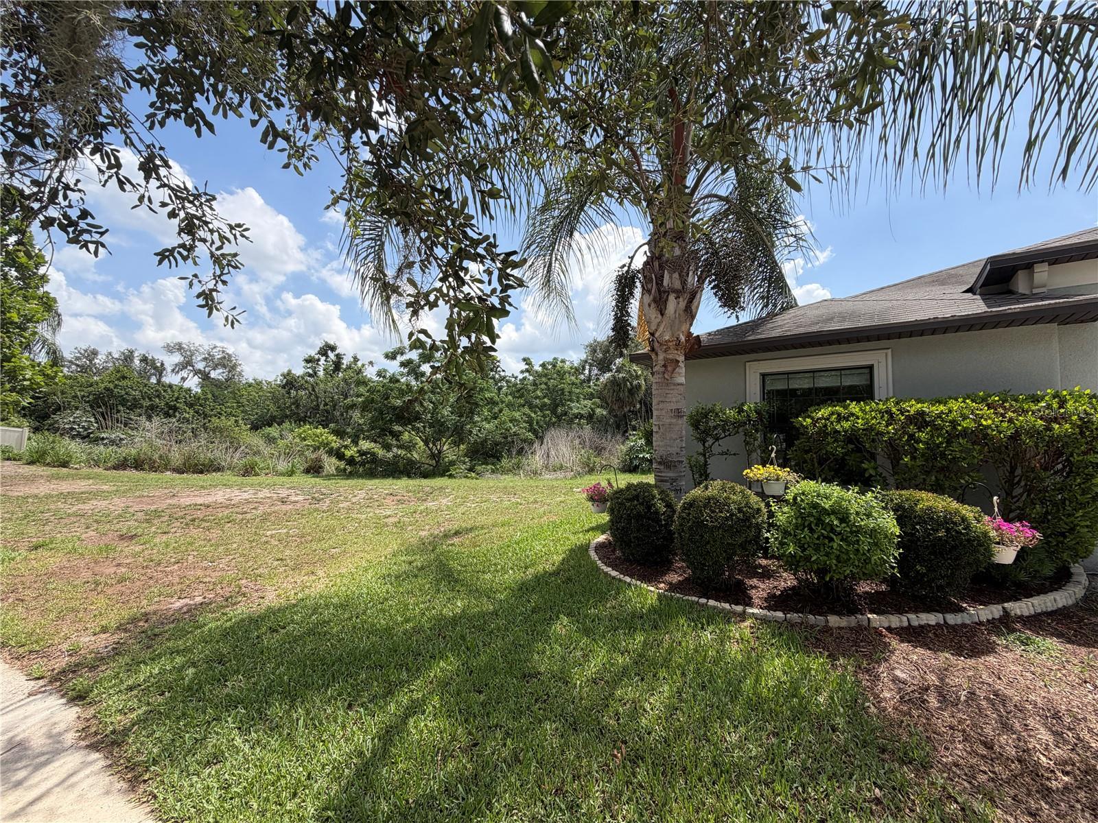 10130 ROSE PETAL PL, RIVERVIEW, FL, 33578