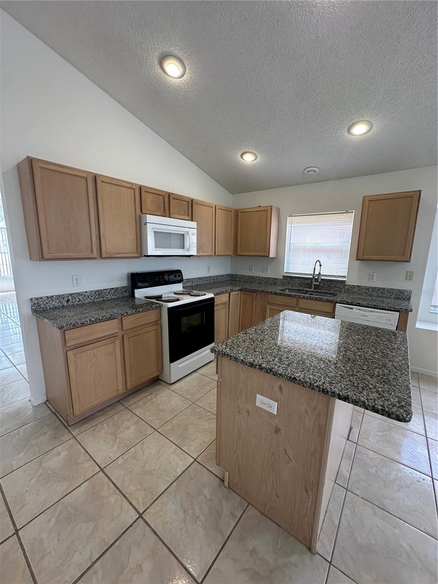 311 DOWNING CIR, DAVENPORT, FL, 33897