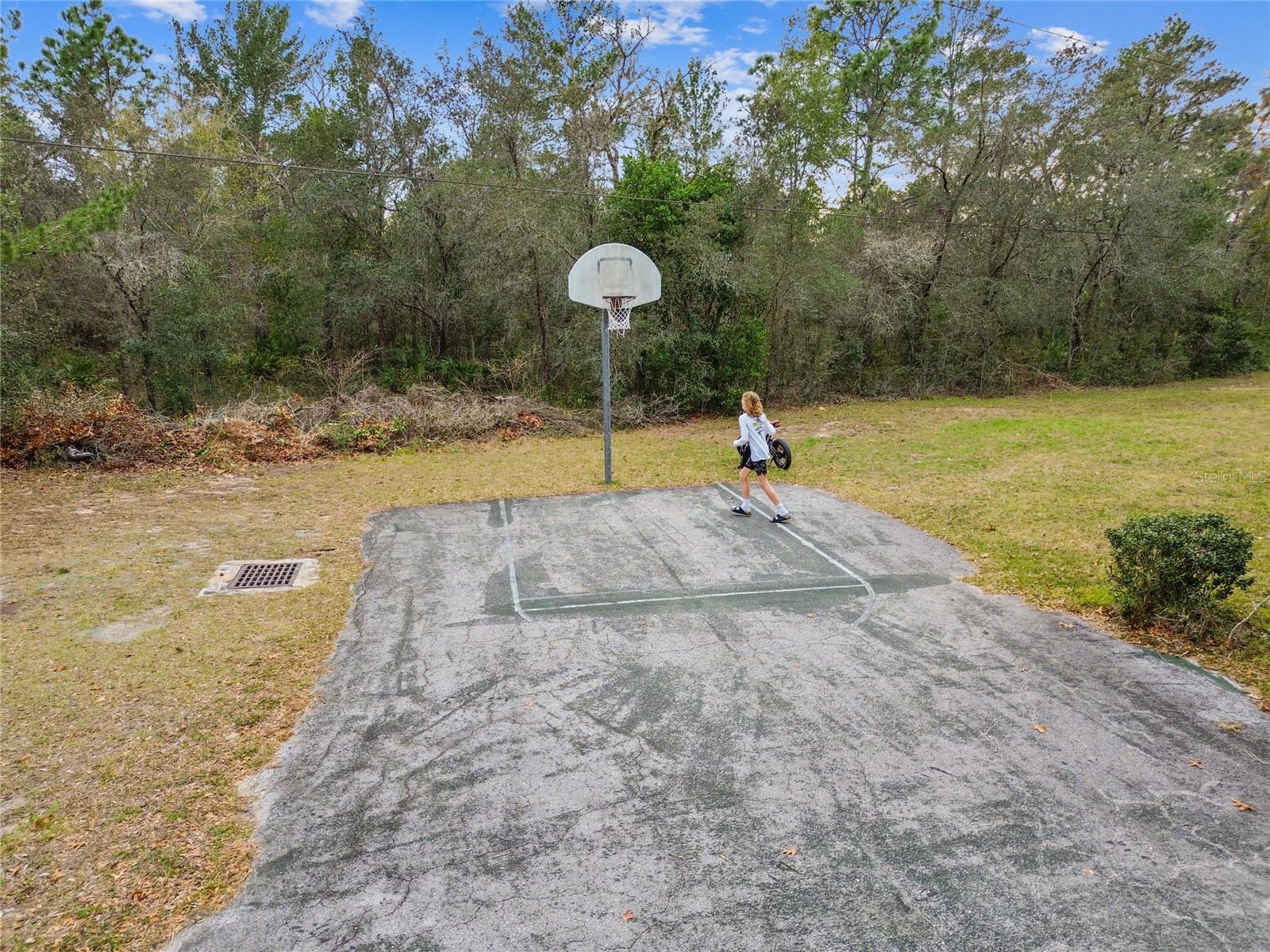 11 CARNATION CT E, HOMOSASSA, FL, 34446