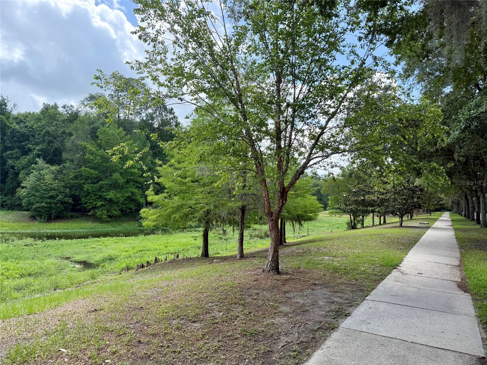 2339 NW 31ST PL, GAINESVILLE, FL, 32605