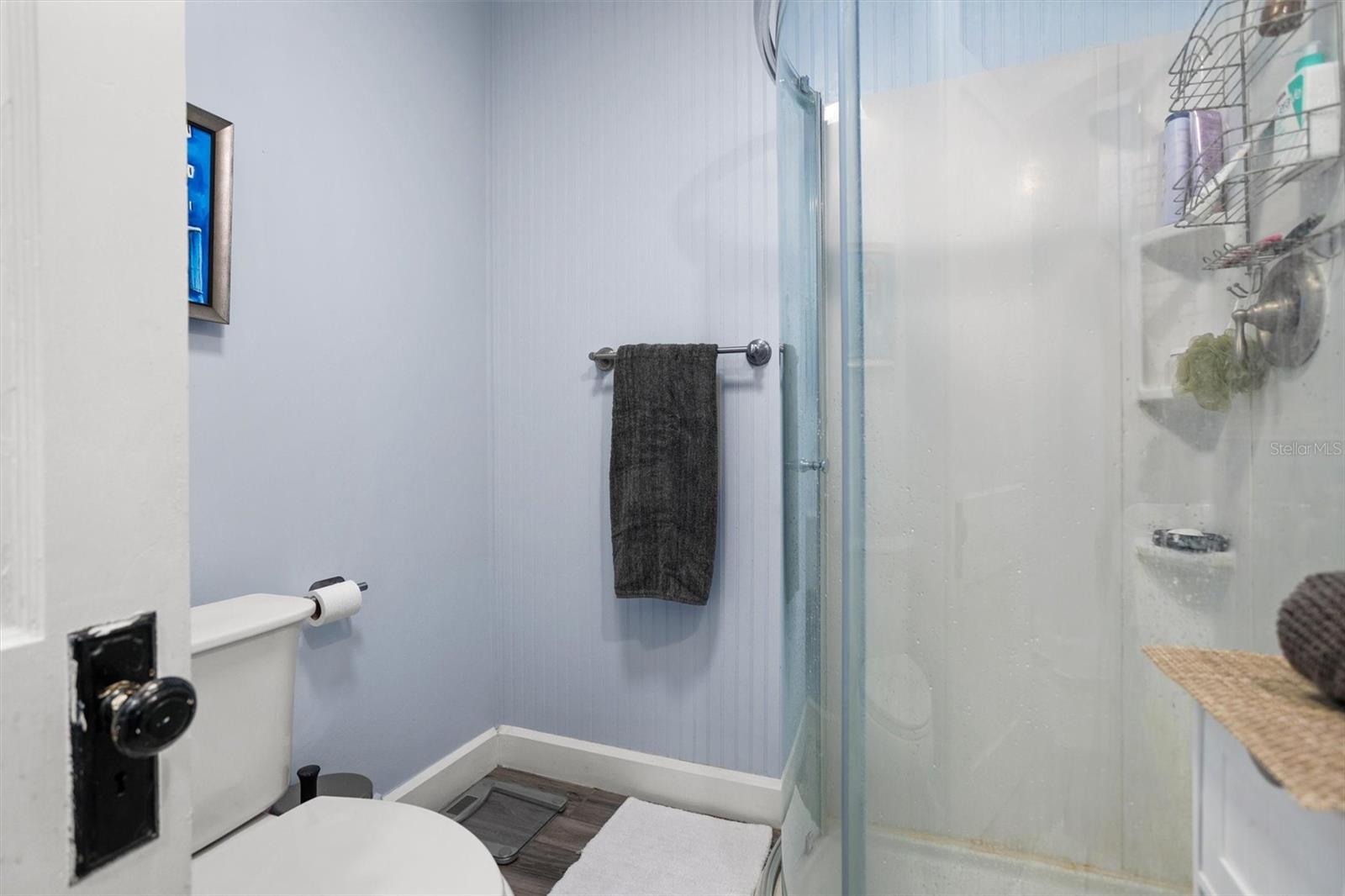 319 BETHEL AVE S, ST PETERSBURG, FL, 33705