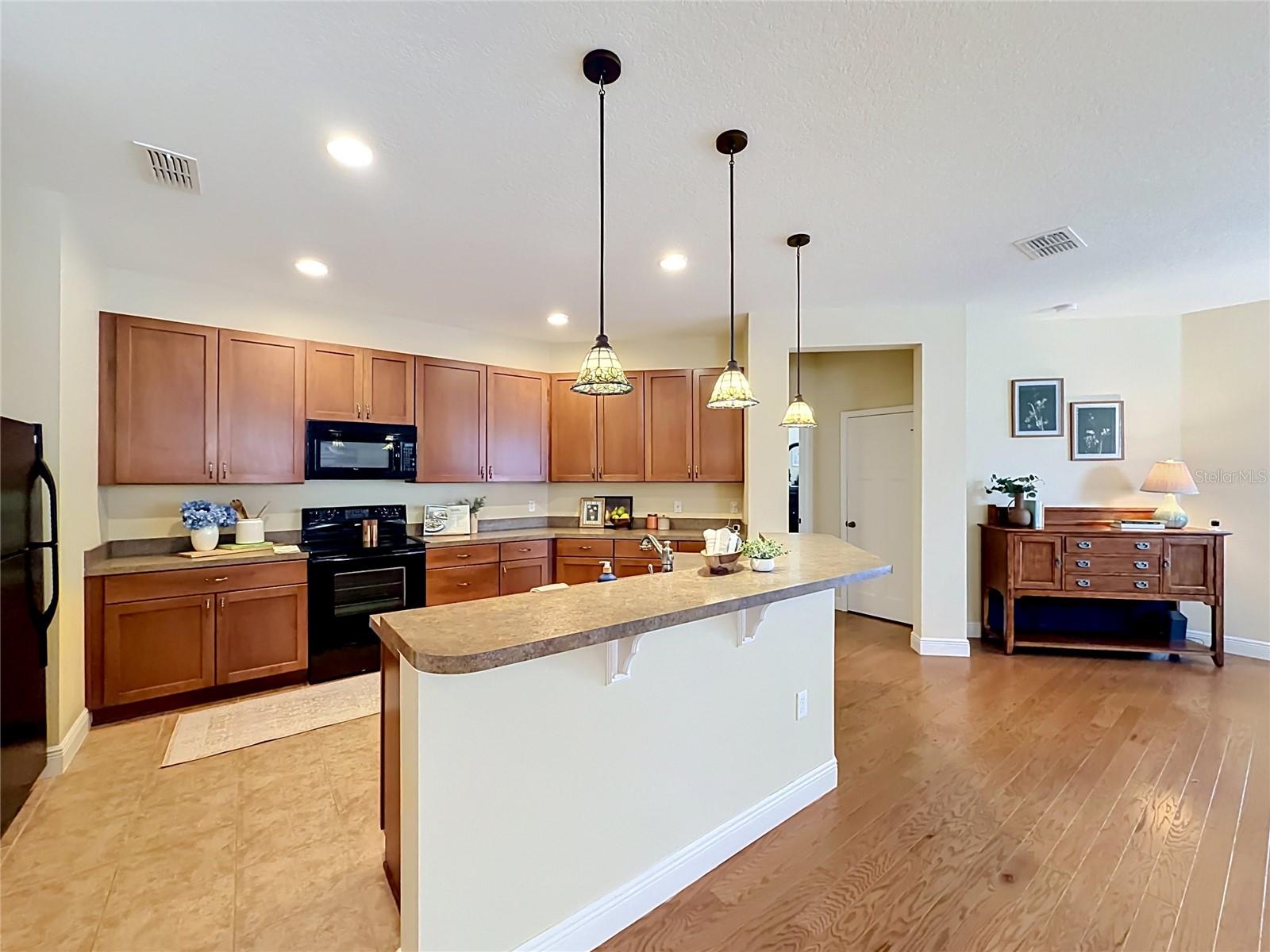 1764 DUNEDIN DR, TAVARES, FL, 32778
