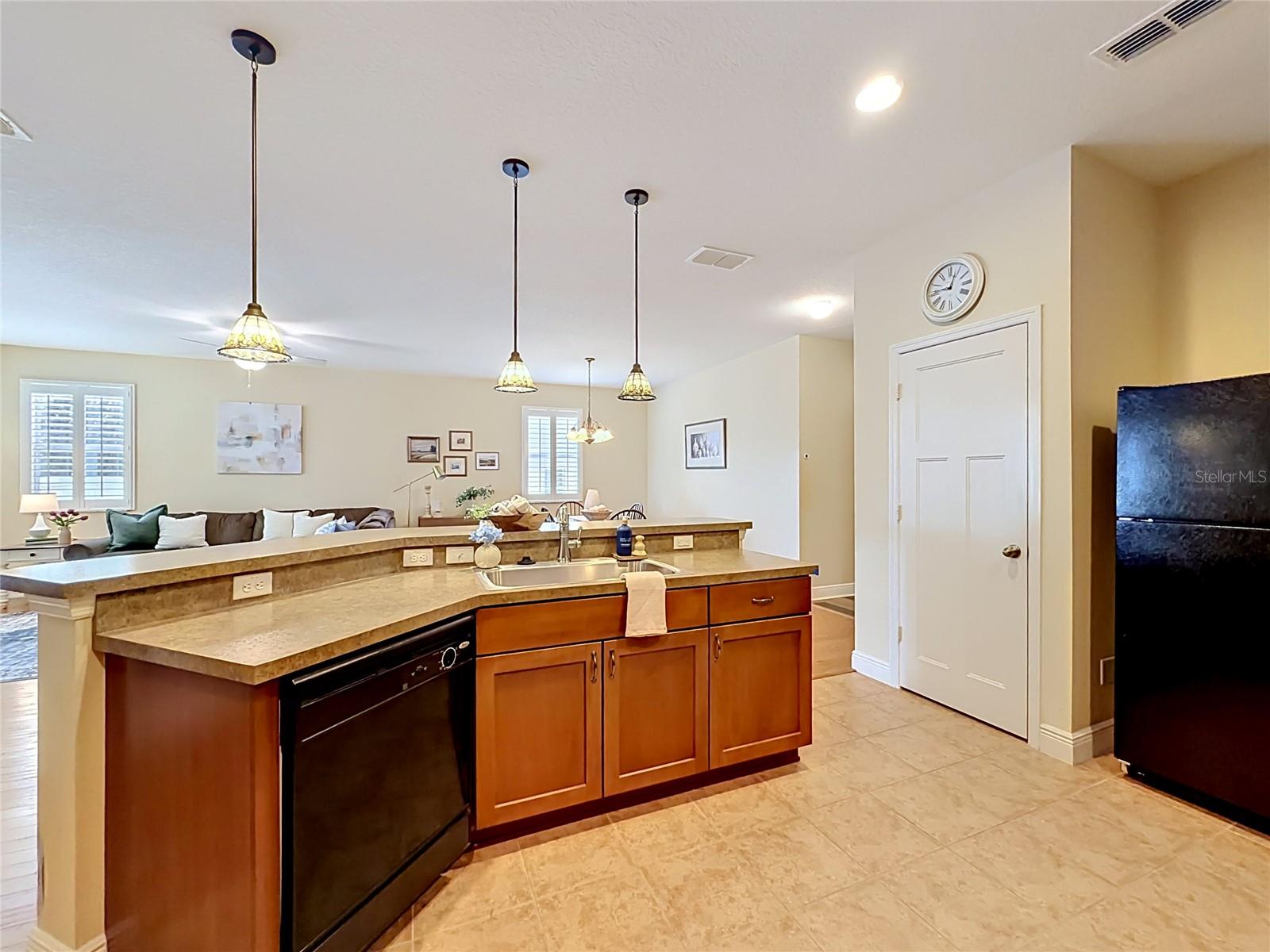 1764 DUNEDIN DR, TAVARES, FL, 32778