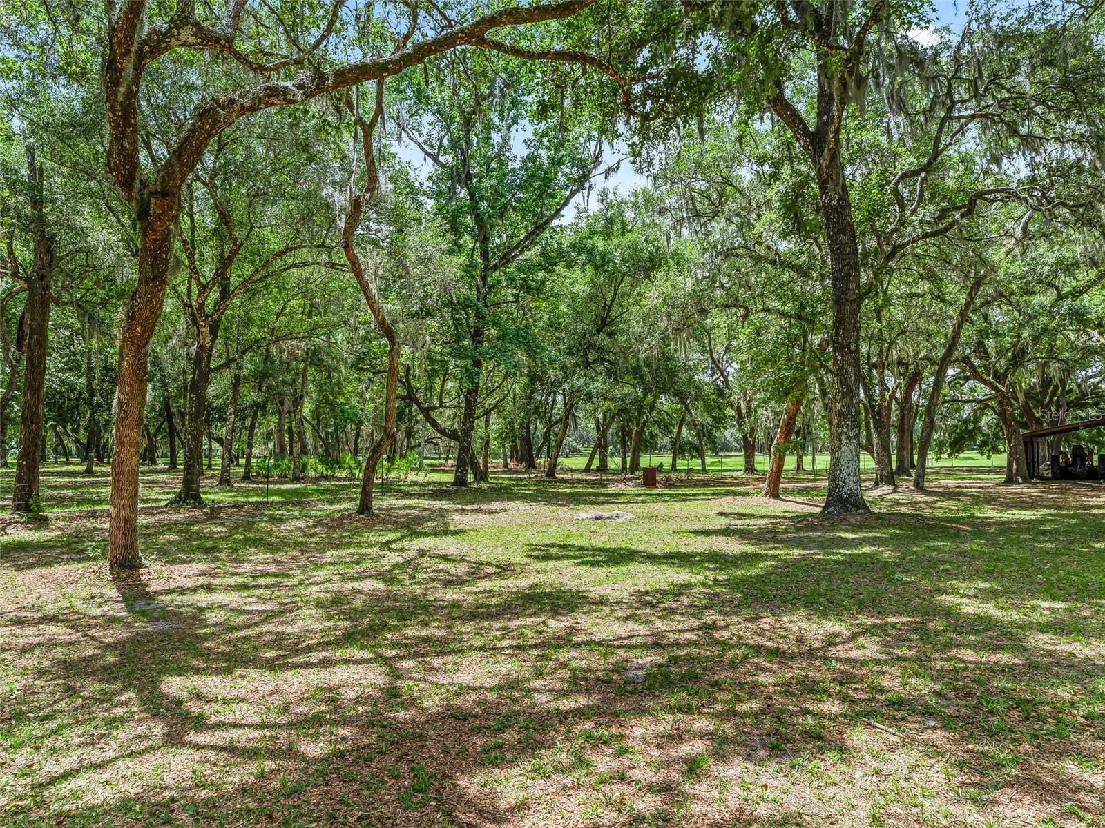 4801 COUNTY ROAD 575, BUSHNELL, FL, 33513