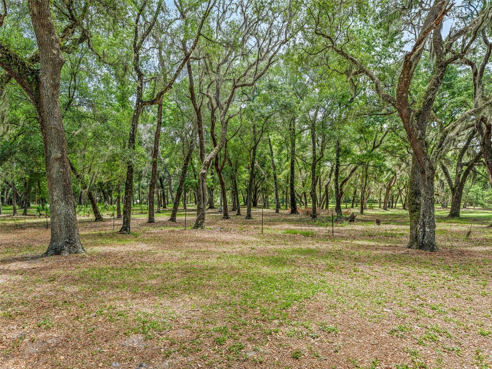 4801 COUNTY ROAD 575, BUSHNELL, FL, 33513