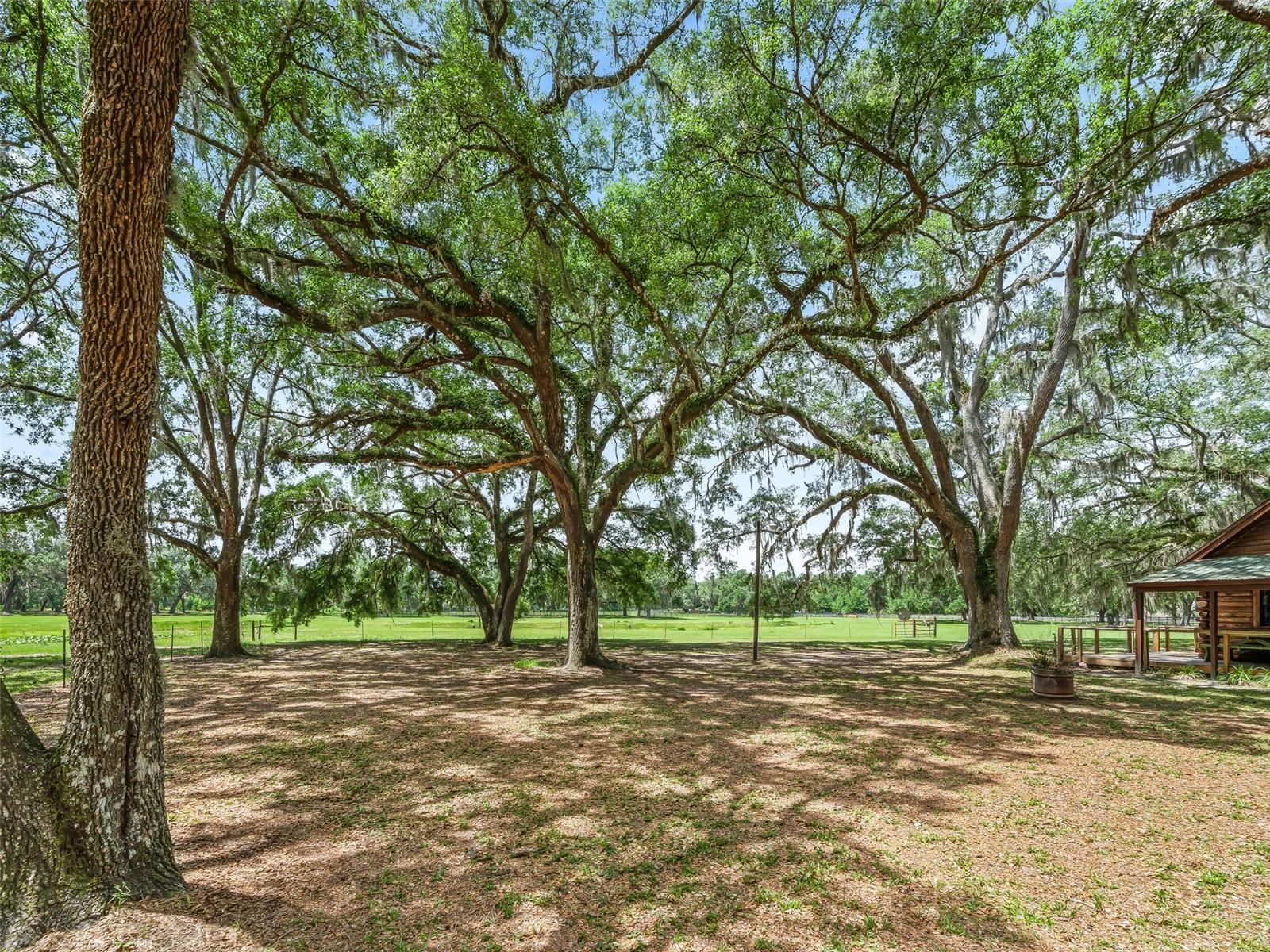 4801 COUNTY ROAD 575, BUSHNELL, FL, 33513