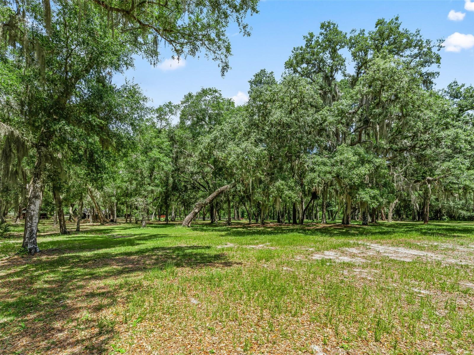 4801 COUNTY ROAD 575, BUSHNELL, FL, 33513