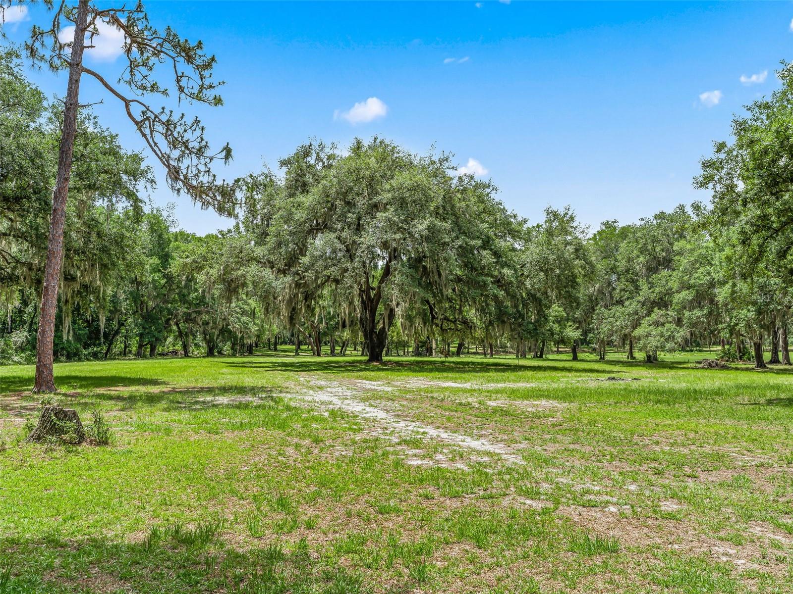 4801 COUNTY ROAD 575, BUSHNELL, FL, 33513