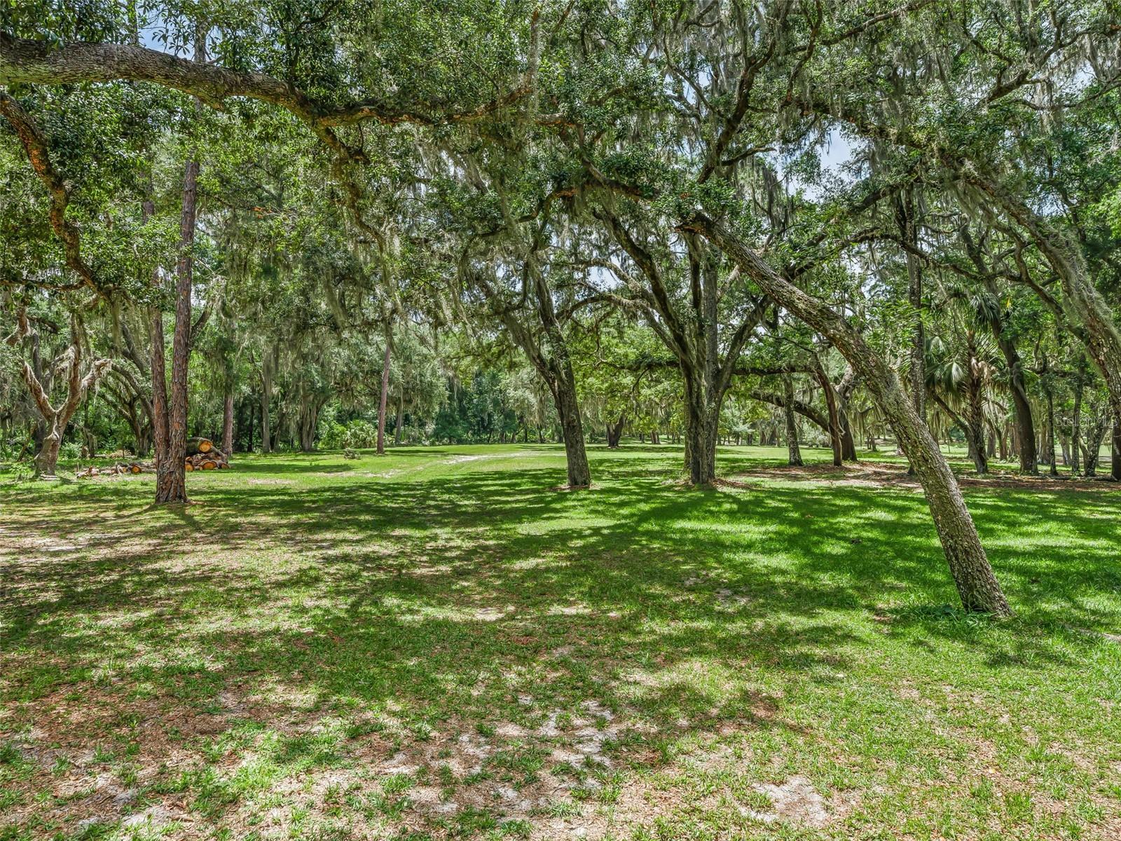 4801 COUNTY ROAD 575, BUSHNELL, FL, 33513