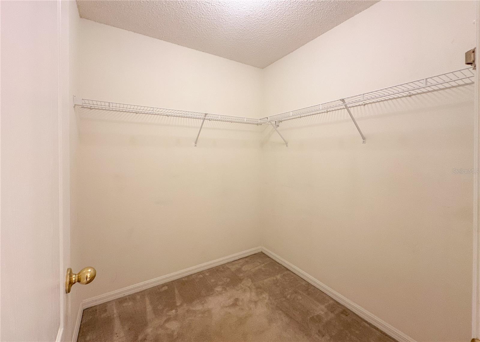 224 FAULKNER ST, WINTER GARDEN, FL, 34787