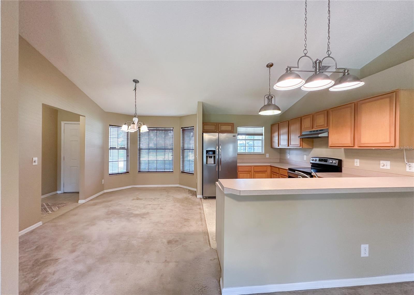 224 FAULKNER ST, WINTER GARDEN, FL, 34787