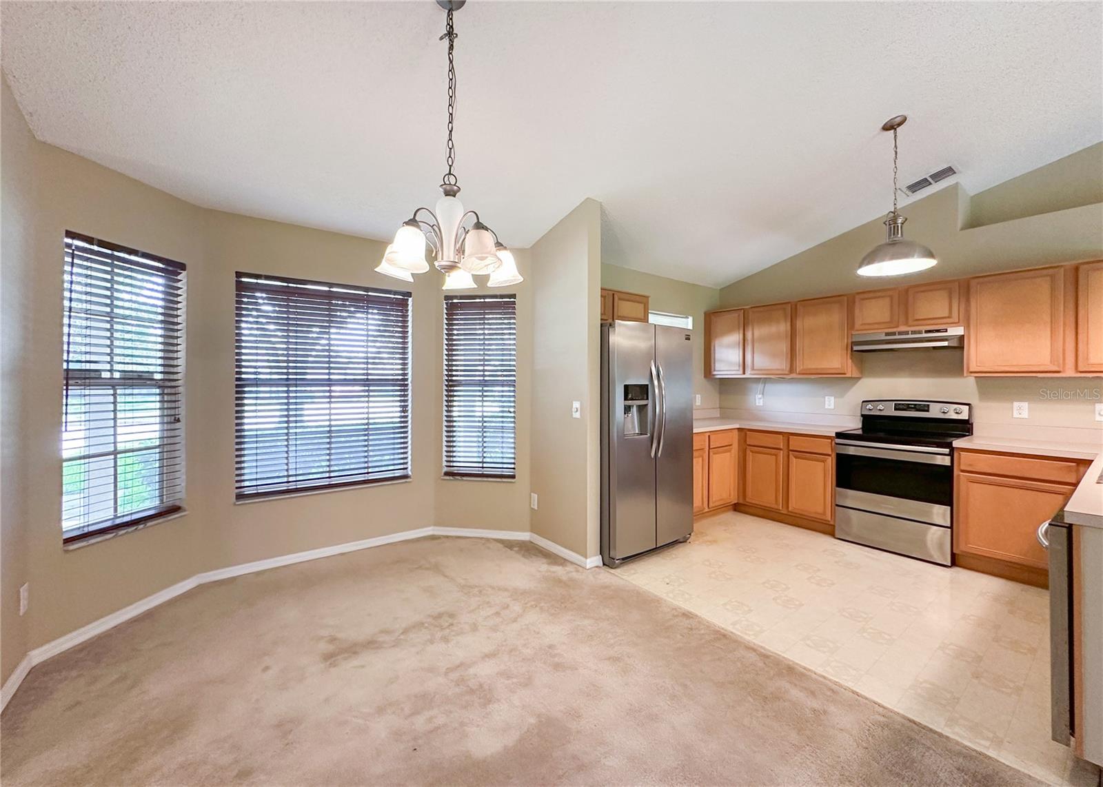 224 FAULKNER ST, WINTER GARDEN, FL, 34787