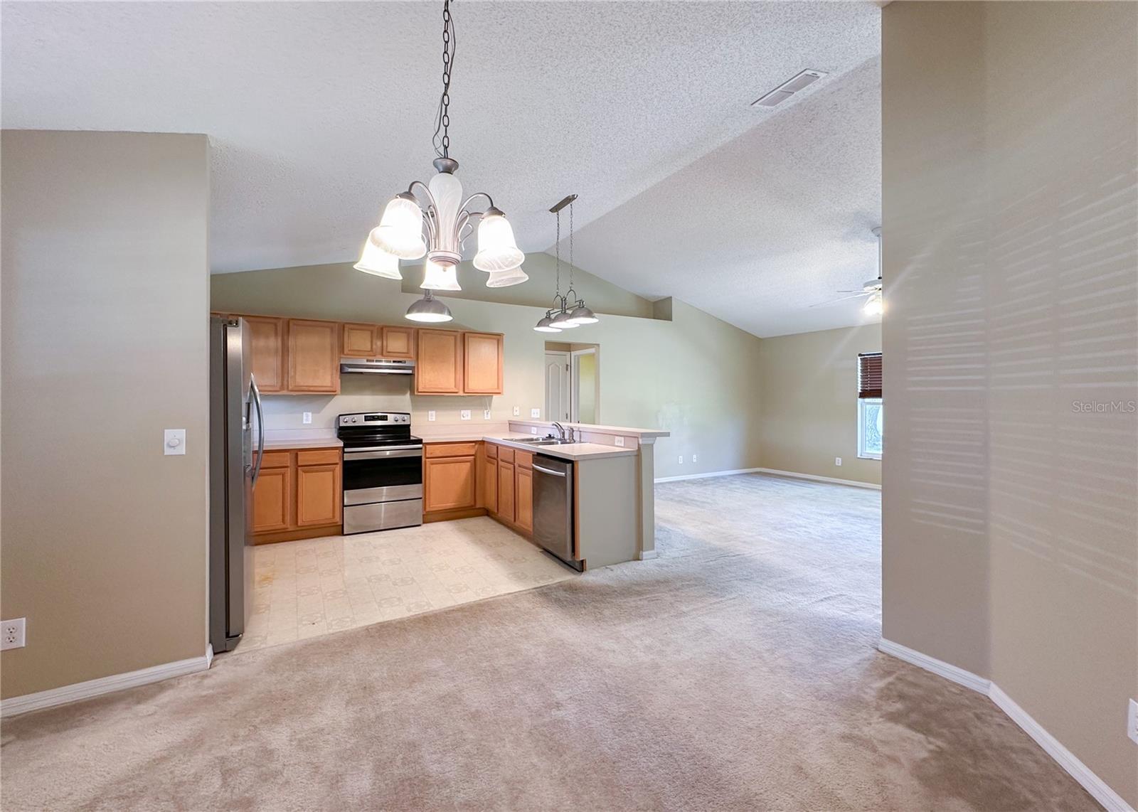 224 FAULKNER ST, WINTER GARDEN, FL, 34787