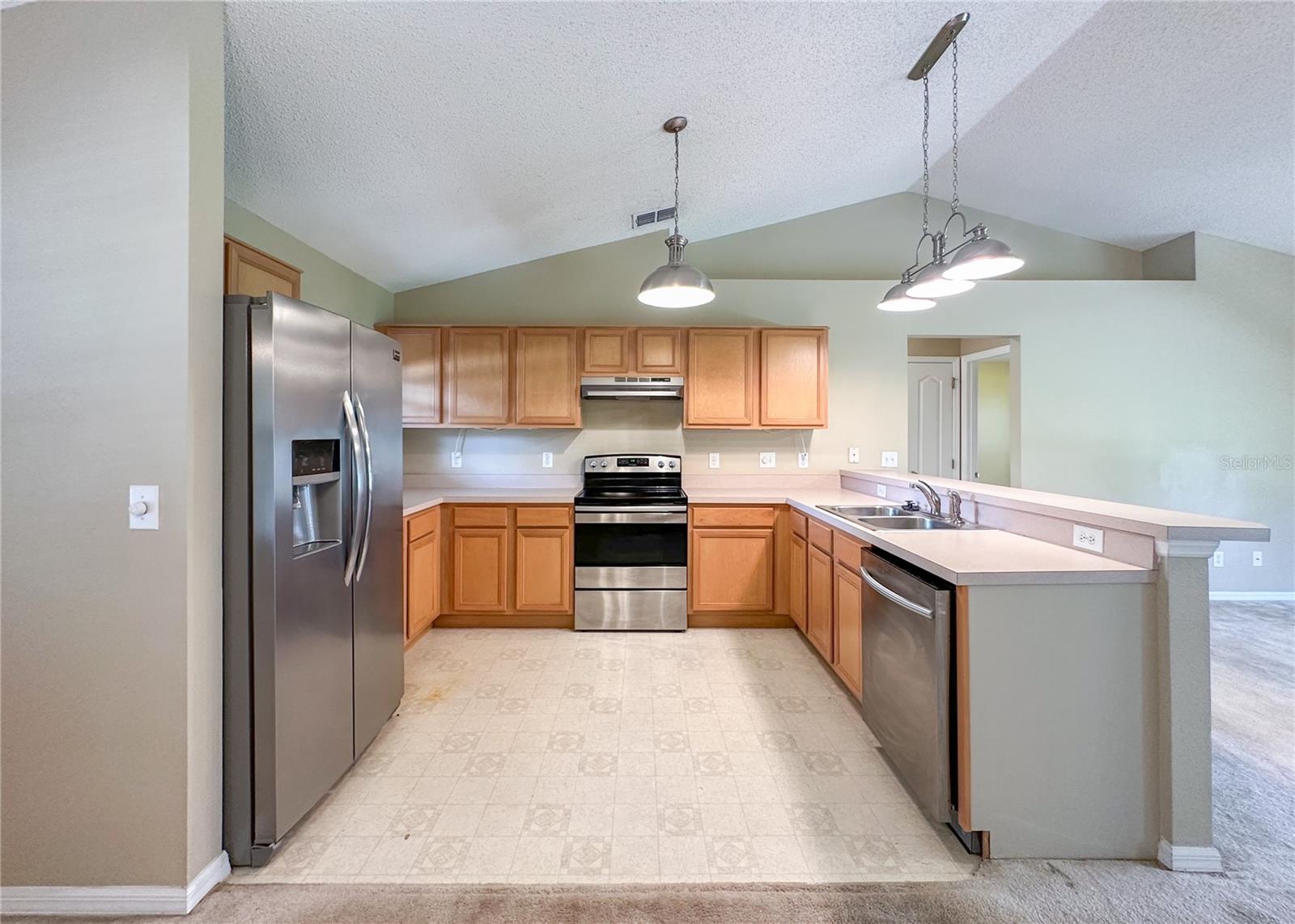224 FAULKNER ST, WINTER GARDEN, FL, 34787
