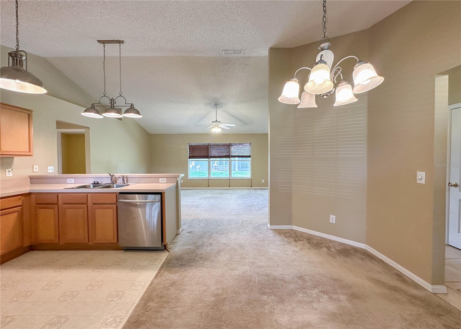 224 FAULKNER ST, WINTER GARDEN, FL, 34787