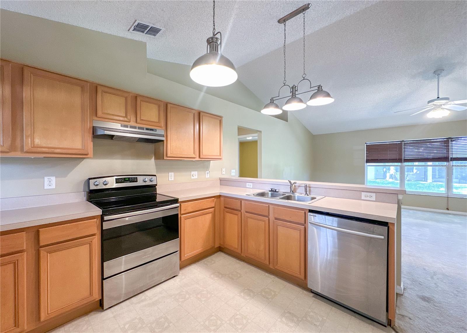 224 FAULKNER ST, WINTER GARDEN, FL, 34787