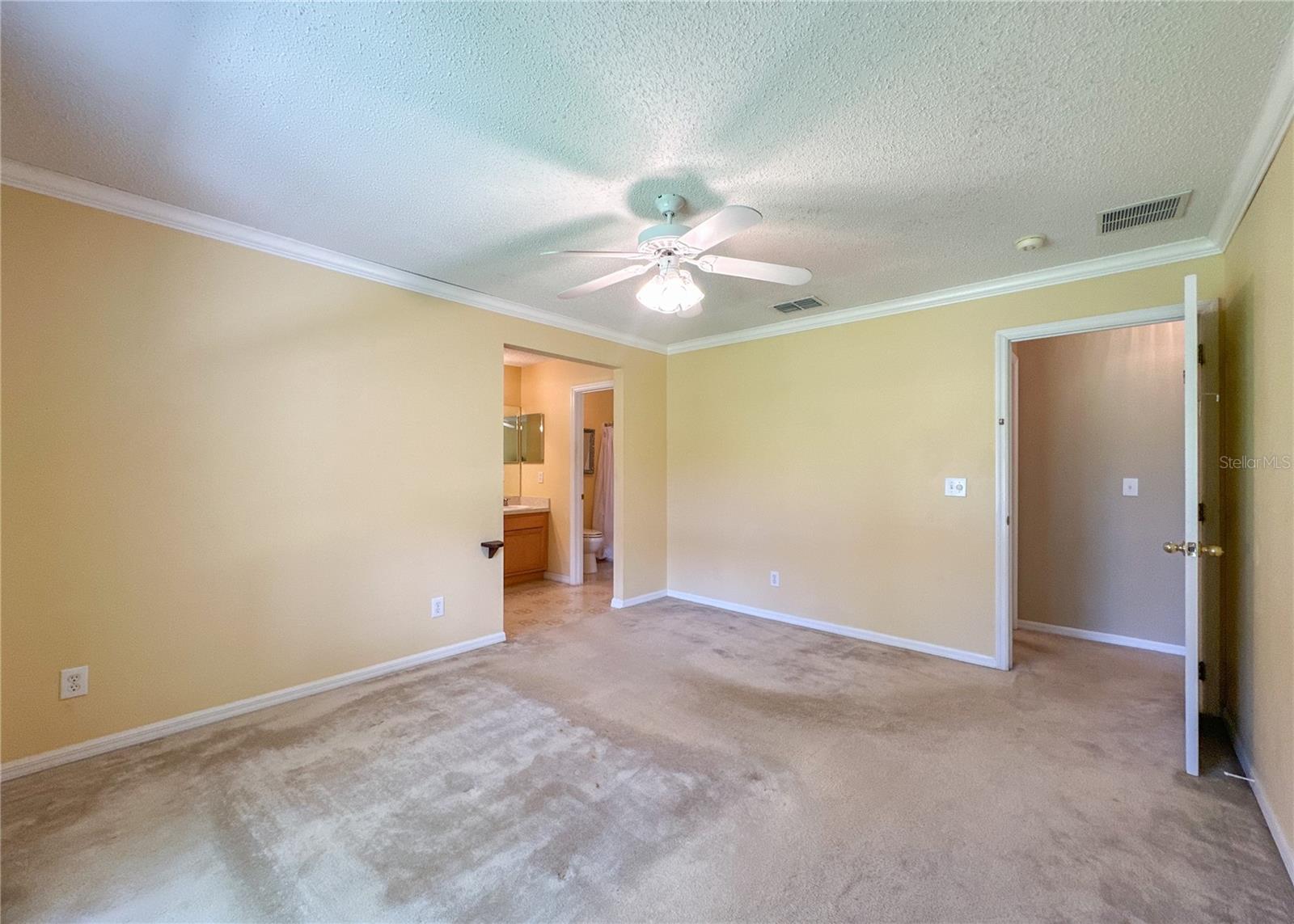 224 FAULKNER ST, WINTER GARDEN, FL, 34787